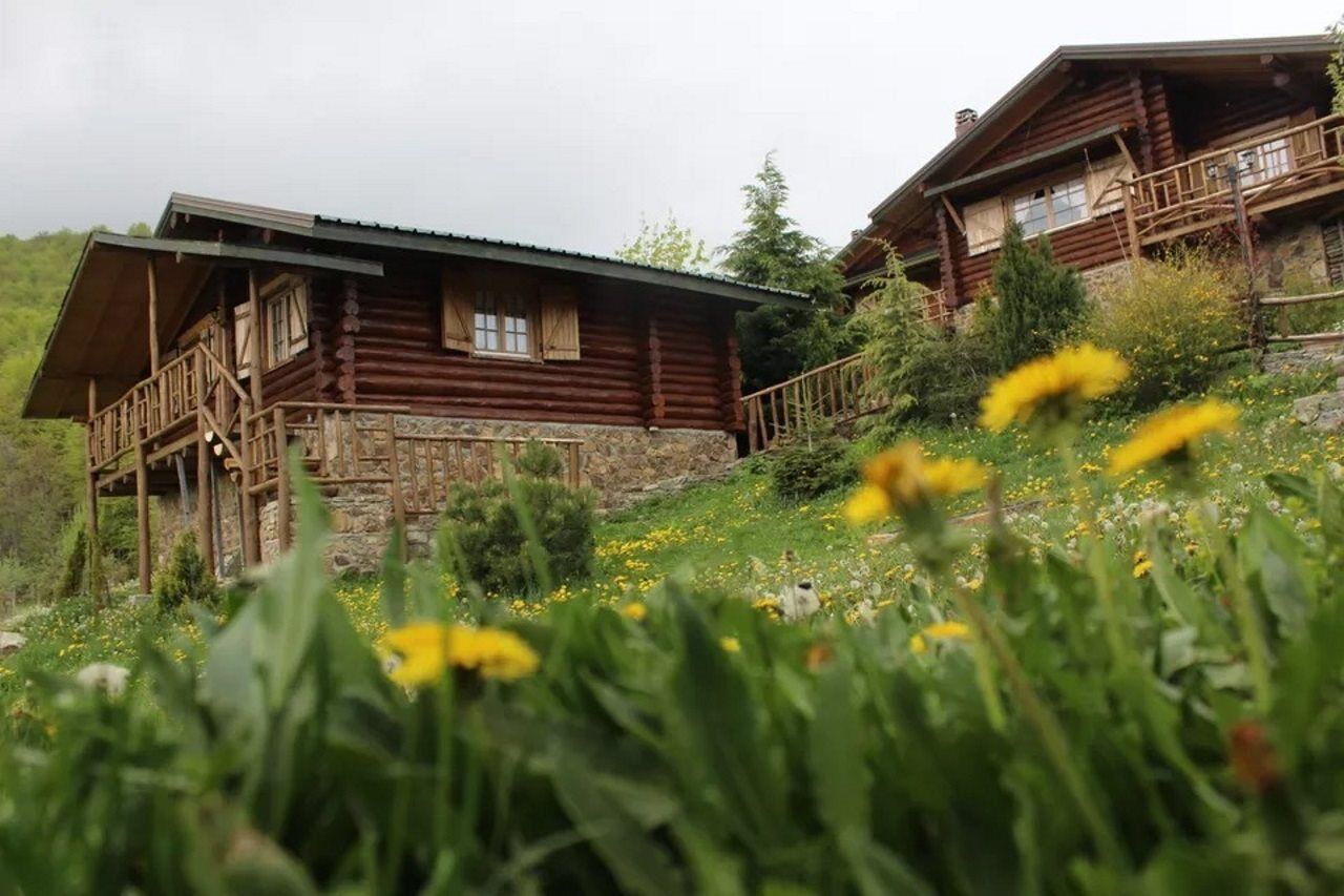 Sfendamos Wood Village Naousa  Exterior photo
